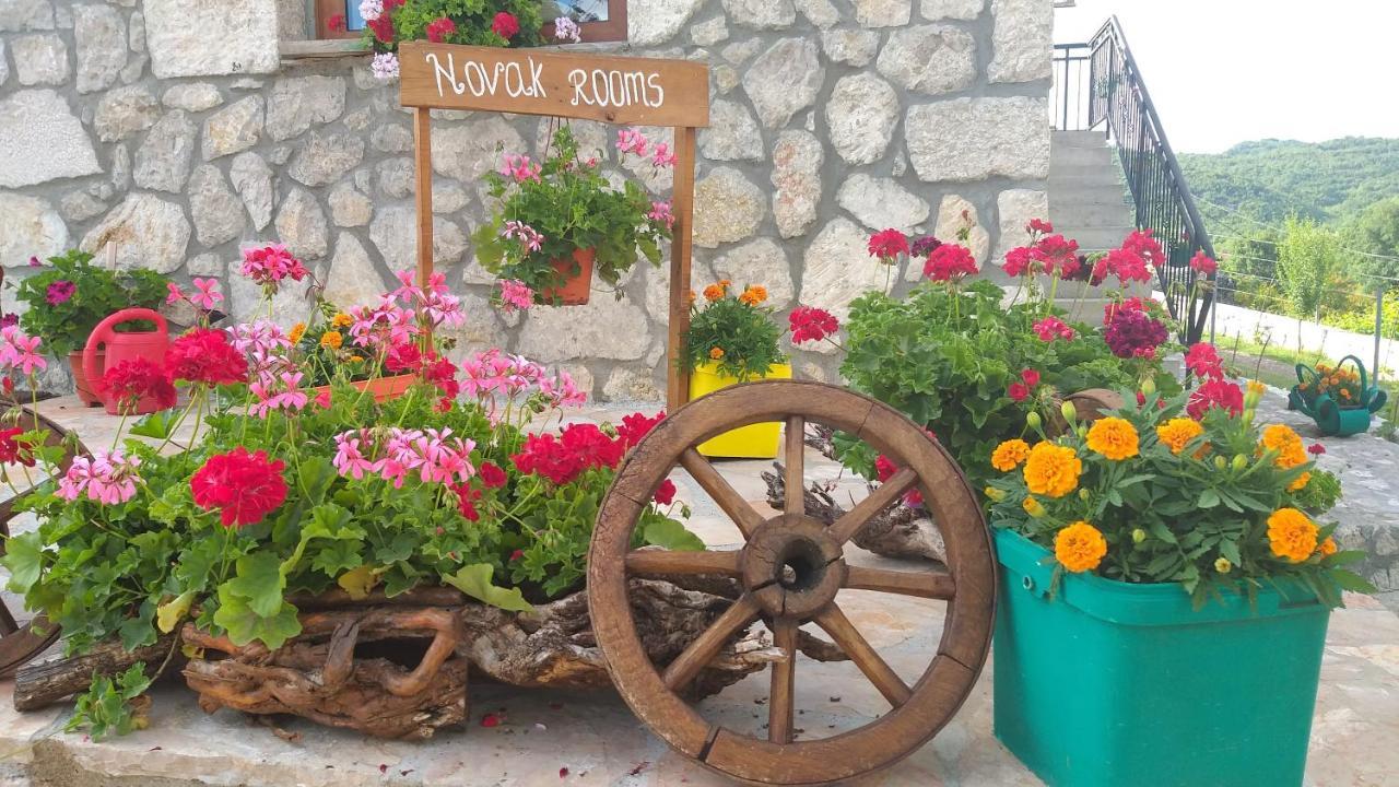 Village House - Novak Rijecani Rijeka Crnojevića Kültér fotó