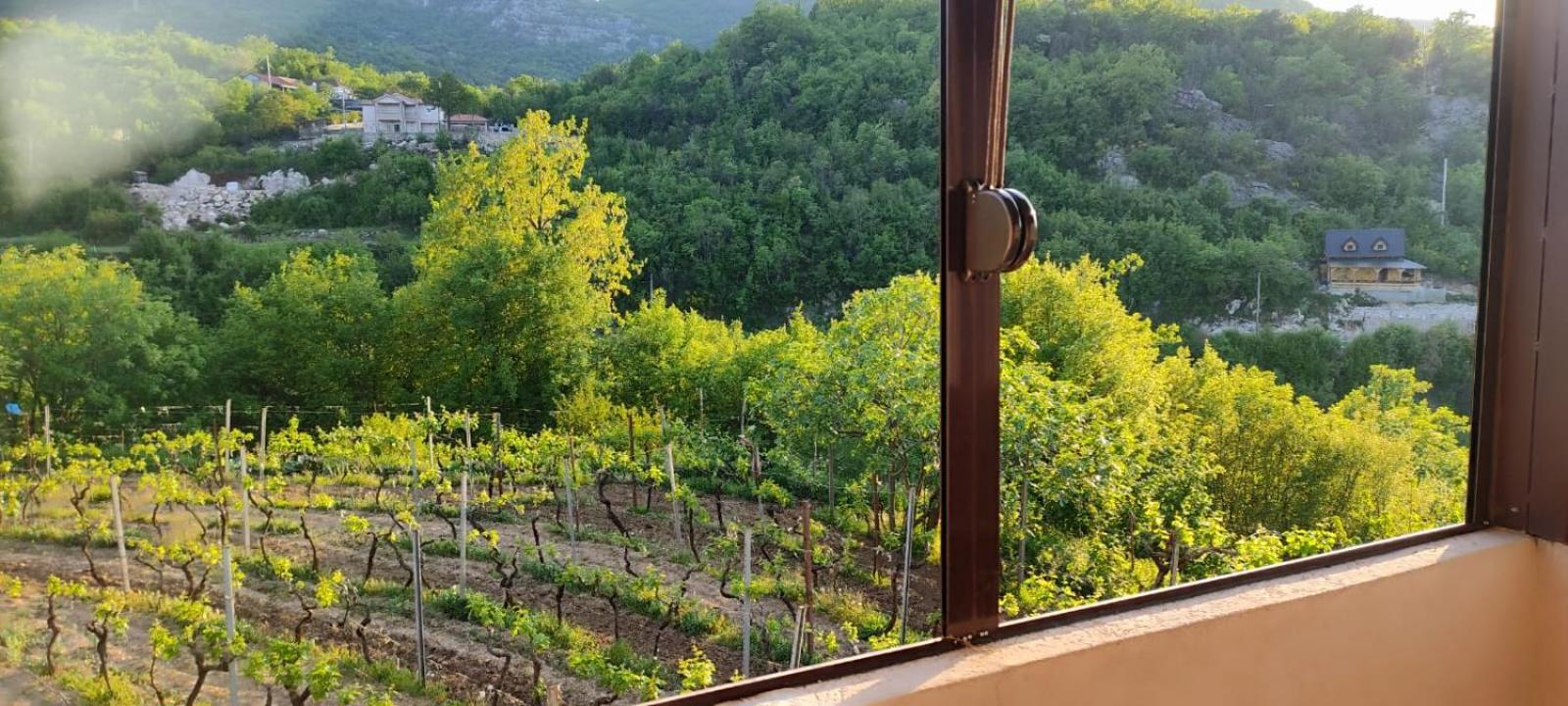 Village House - Novak Rijecani Rijeka Crnojevića Kültér fotó