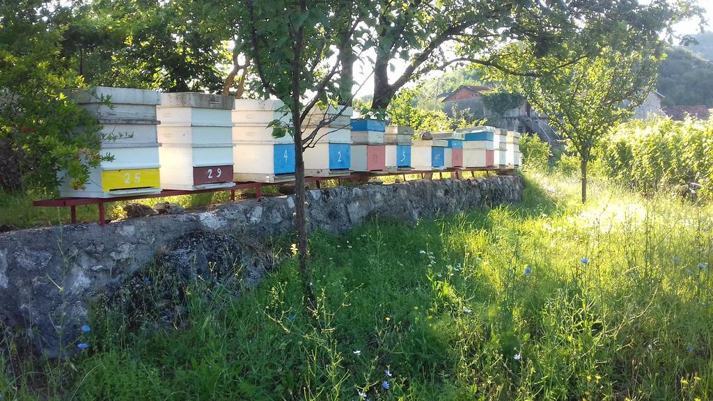 Village House - Novak Rijecani Rijeka Crnojevića Kültér fotó