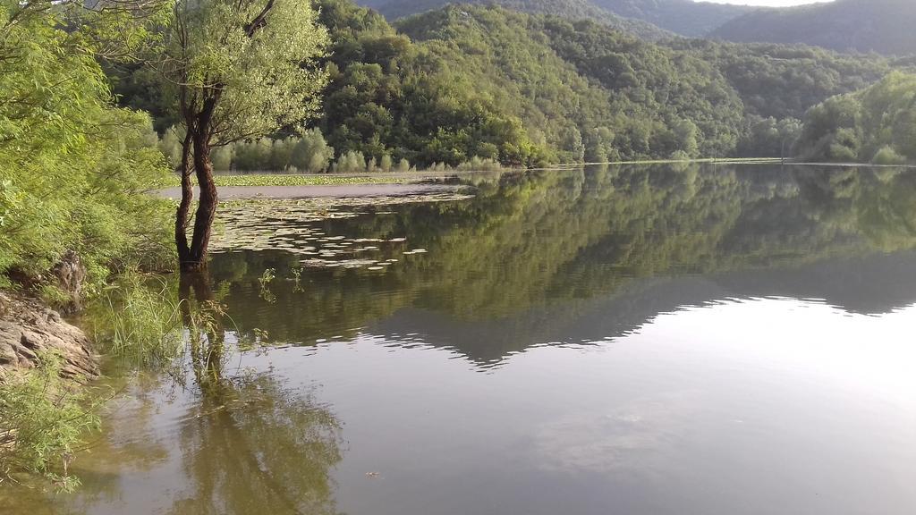 Village House - Novak Rijecani Rijeka Crnojevića Kültér fotó