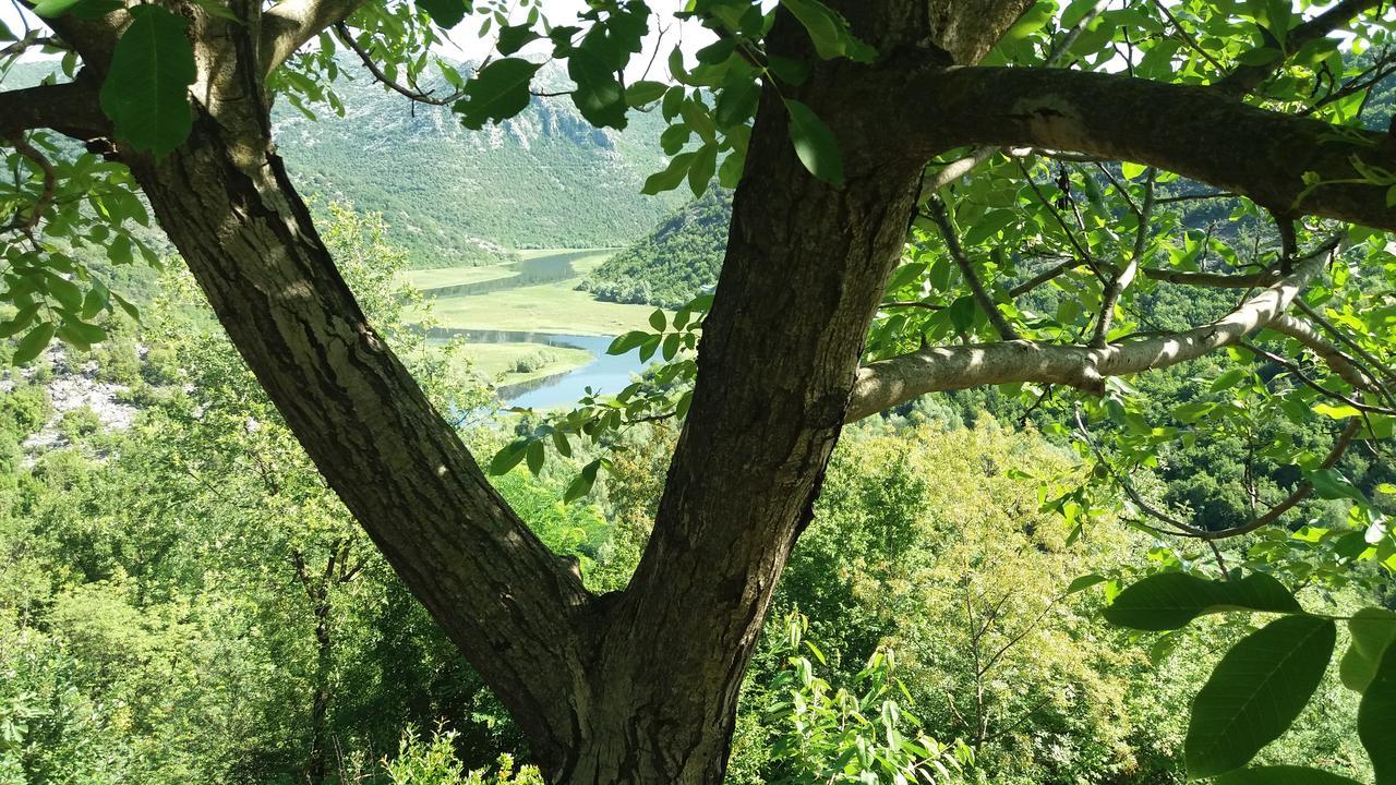 Village House - Novak Rijecani Rijeka Crnojevića Kültér fotó
