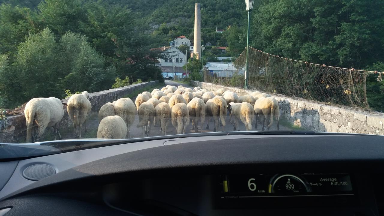 Village House - Novak Rijecani Rijeka Crnojevića Kültér fotó